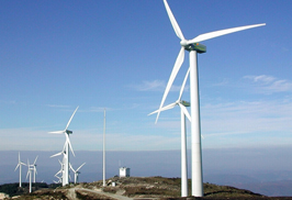 W020251125575383012179