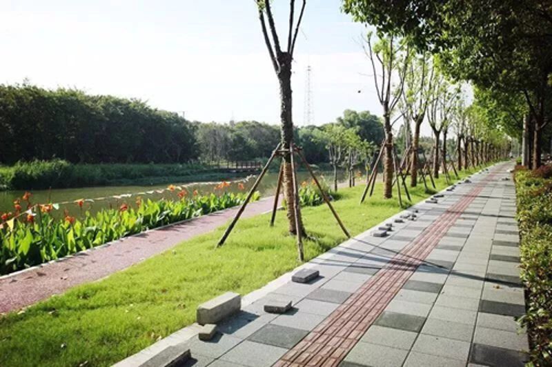 yth206游艇会官网-游艇会0005yth