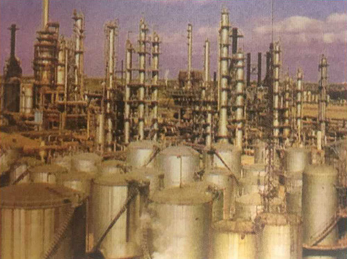 W020251125588855895988